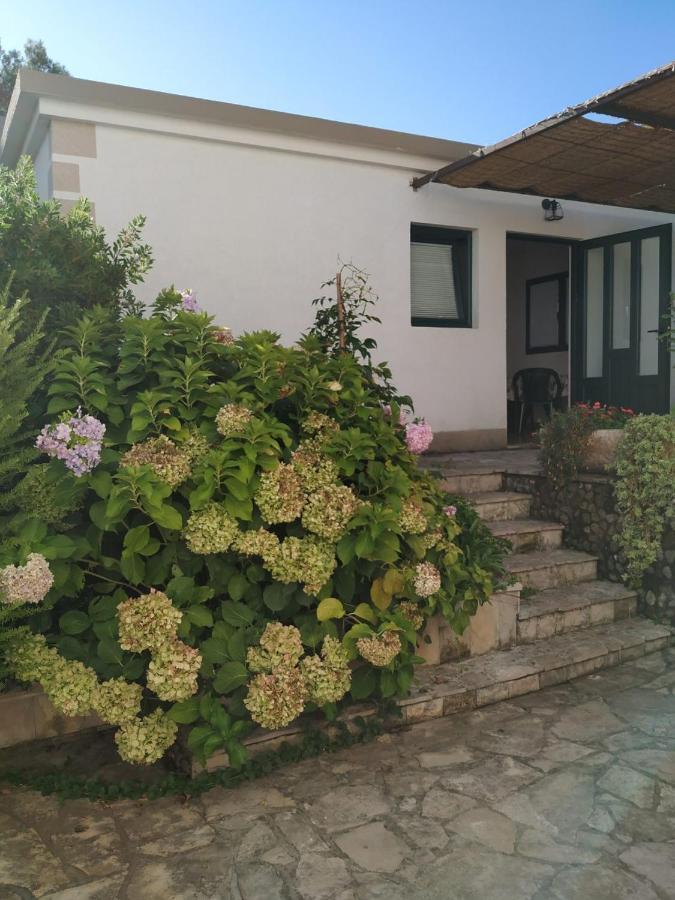 Kjara Apartments Tivat Exteriör bild