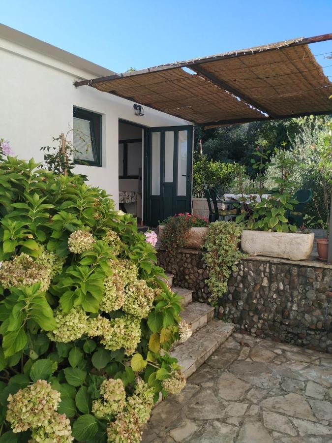 Kjara Apartments Tivat Exteriör bild